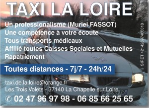 taxi de la loire logo